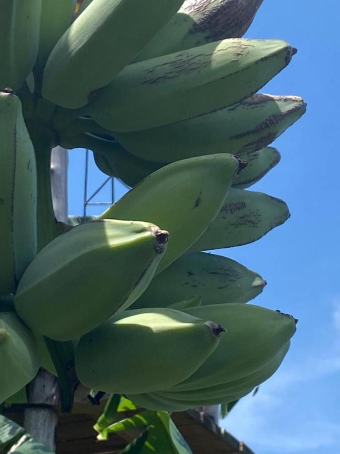 הוילה El Limon Casa Algana מראה חיצוני תמונה